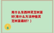 用什么东西种灵芝树苗好(用什么方法种植灵芝树苗最好？)