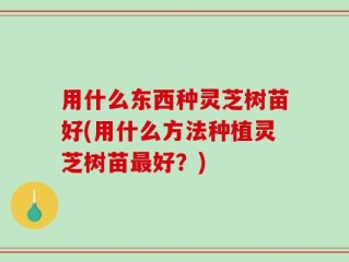 用什么东西种灵芝树苗好(用什么方法种植灵芝树苗最好？)