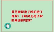 灵芝破壁孢子粉的孢子是啥？了解灵芝孢子粉的来源和功效？