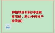种植铁皮石斛(种植铁皮石斛，助力中药材产业发展)