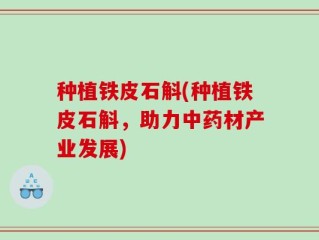 种植铁皮石斛(种植铁皮石斛，助力中药材产业发展)