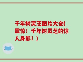 千年树灵芝图片大全(震惊！千年树灵芝的惊人身影！)