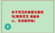 关于灵芝的美篇文案短句(聚焦灵芝 美丽身心，生命新开始)