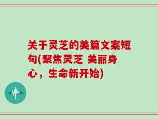 关于灵芝的美篇文案短句(聚焦灵芝 美丽身心，生命新开始)