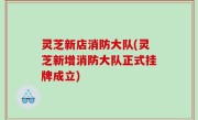灵芝新店消防大队(灵芝新增消防大队正式挂牌成立)