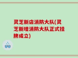 灵芝新店消防大队(灵芝新增消防大队正式挂牌成立)
