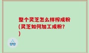 整个灵芝怎么样榨成粉(灵芝如何加工成粉？)