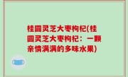 桂圆灵芝大枣枸杞(桂圆灵芝大枣枸杞：一颗亲情满满的多味水果)