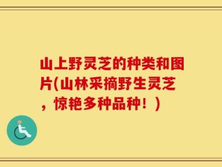 山上野灵芝的种类和图片(山林采摘野生灵芝，惊艳多种品种！)