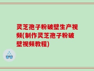 灵芝孢子粉破壁生产视频(制作灵芝孢子粉破壁视频教程)
