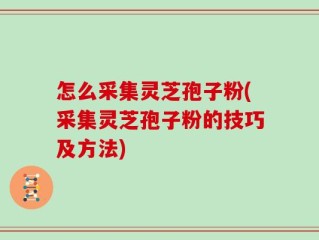 怎么采集灵芝孢子粉(采集灵芝孢子粉的技巧及方法)