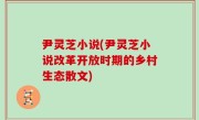 尹灵芝小说(尹灵芝小说改革开放时期的乡村生态散文)