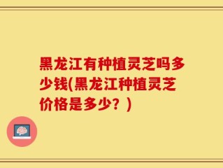 黑龙江有种植灵芝吗多少钱(黑龙江种植灵芝价格是多少？)