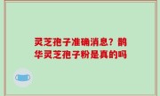 灵芝孢子准确消息？鹊华灵芝孢子粉是真的吗