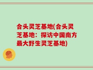 合头灵芝基地(合头灵芝基地：探访中国南方最大野生灵芝基地)