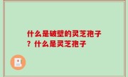 什么是破壁的灵芝孢子？什么是灵芝孢子