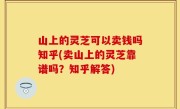 山上的灵芝可以卖钱吗知乎(卖山上的灵芝靠谱吗？知乎解答)