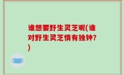 谁想要野生灵芝呢(谁对野生灵芝情有独钟？)