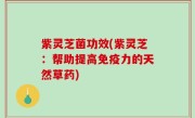 紫灵芝菌功效(紫灵芝：帮助提高免疫力的天然草药)