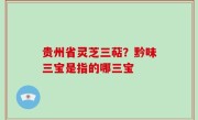 贵州省灵芝三萜？黔味三宝是指的哪三宝