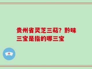 贵州省灵芝三萜？黔味三宝是指的哪三宝