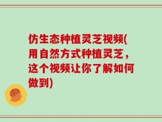 仿生态种植灵芝视频(用自然方式种植灵芝，这个视频让你了解如何做到)