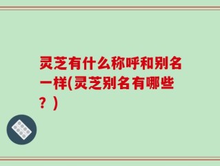 灵芝有什么称呼和别名一样(灵芝别名有哪些？)