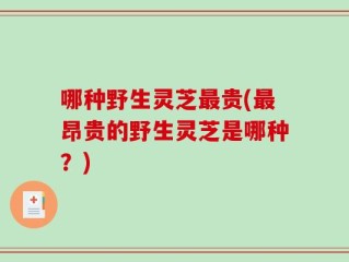 哪种野生灵芝最贵(最昂贵的野生灵芝是哪种？)