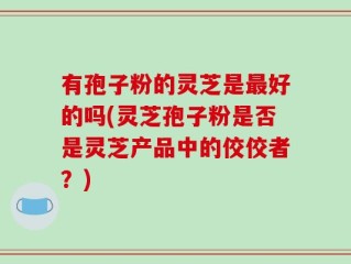 有孢子粉的灵芝是最好的吗(灵芝孢子粉是否是灵芝产品中的佼佼者？)