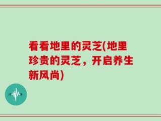看看地里的灵芝(地里珍贵的灵芝，开启养生新风尚)