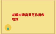 龙眼树蜂窝灵芝作用和功效