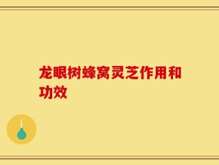 龙眼树蜂窝灵芝作用和功效