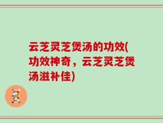 云芝灵芝煲汤的功效(功效神奇，云芝灵芝煲汤滋补佳)