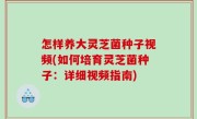 怎样养大灵芝菌种子视频(如何培育灵芝菌种子：详细视频指南)