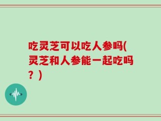 吃灵芝可以吃人参吗(灵芝和人参能一起吃吗？)