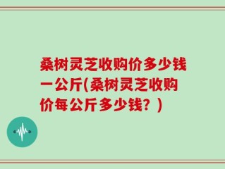 桑树灵芝收购价多少钱一公斤(桑树灵芝收购价每公斤多少钱？)