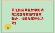 灵芝陈皮菊花甘草的功效(灵芝陈皮菊花甘草联合，共同发挥养生功效)