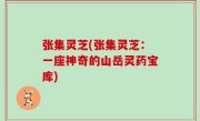张集灵芝(张集灵芝：一座神奇的山岳灵药宝库)