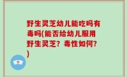 野生灵芝幼儿能吃吗有毒吗(能否给幼儿服用野生灵芝？毒性如何？)