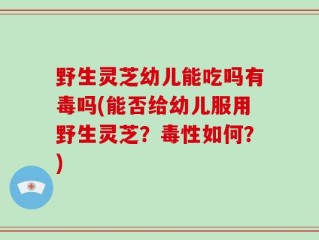 野生灵芝幼儿能吃吗有毒吗(能否给幼儿服用野生灵芝？毒性如何？)