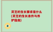 灵芝的生长要求是什么(灵芝的生长条件与养护指南)