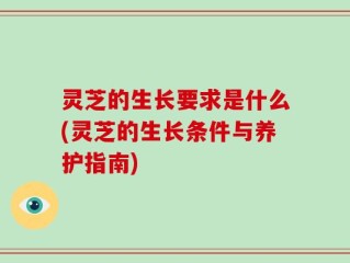 灵芝的生长要求是什么(灵芝的生长条件与养护指南)