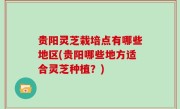贵阳灵芝栽培点有哪些地区(贵阳哪些地方适合灵芝种植？)