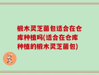 椴木灵芝菌包适合在仓库种植吗(适合在仓库种植的椴木灵芝菌包)