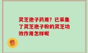 灵芝孢子药用？已采集了灵芝孢子粉的灵芝功效作用怎样呢
