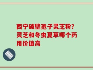 西宁破壁孢子灵芝粉？灵芝和冬虫夏草哪个药用价值高
