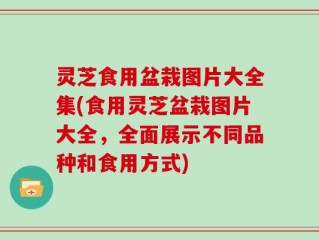 灵芝食用盆栽图片大全集(食用灵芝盆栽图片大全，全面展示不同品种和食用方式)