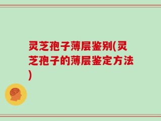 灵芝孢子薄层鉴别(灵芝孢子的薄层鉴定方法)