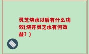 灵芝烧水以后有什么功效(烧开灵芝水有何效益？)