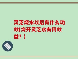 灵芝烧水以后有什么功效(烧开灵芝水有何效益？)